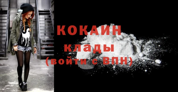 твердый Богданович