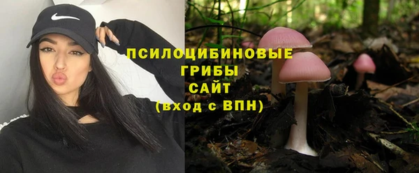 шишки Богородск