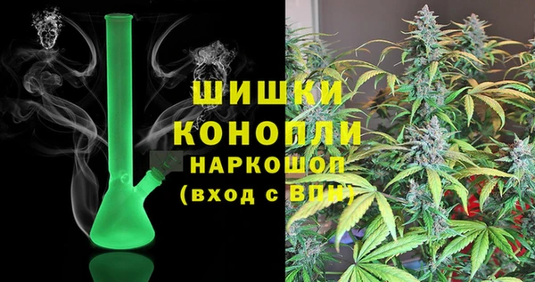 шишки Богородск