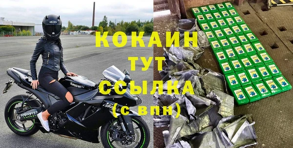 шишки Богородск