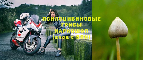 шишки Богородск