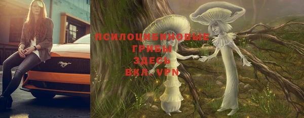 шишки Богородск