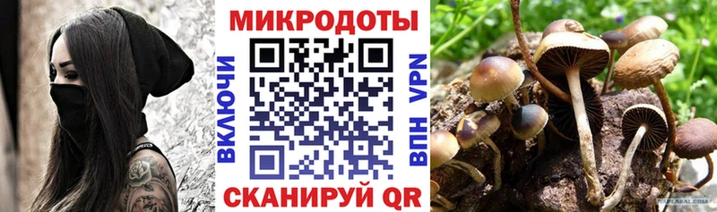 где найти наркотики  Малая Вишера  Галлюциногенные грибы прущие грибы 