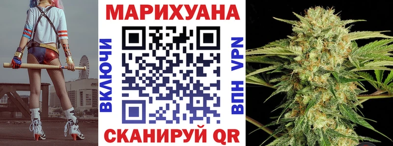 Каннабис сатива Малая Вишера